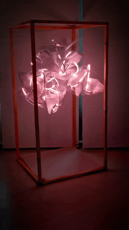 Light pattern animation.